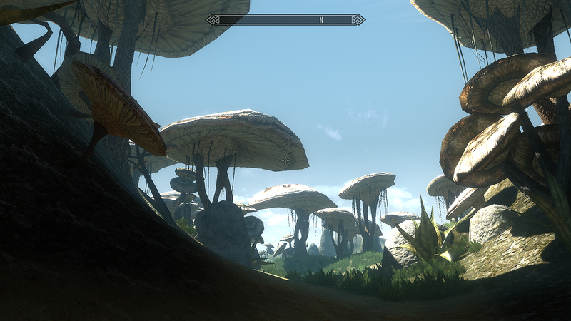 Illustration for article titled Morrowind Modded Into Skyrim Is Something You Must See